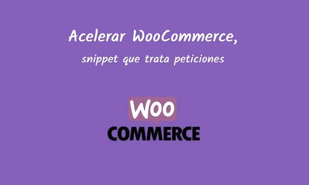 Acelerar WooCommerce, snippet que trata peticiones